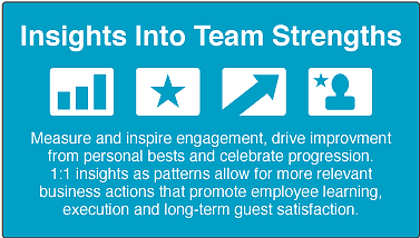 inside into team strengths